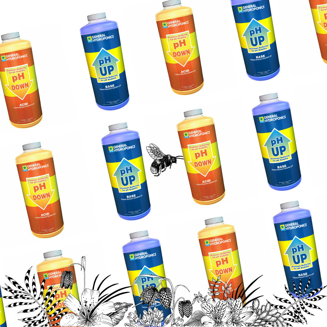 La Importancia del pH en la Brocoli Magico