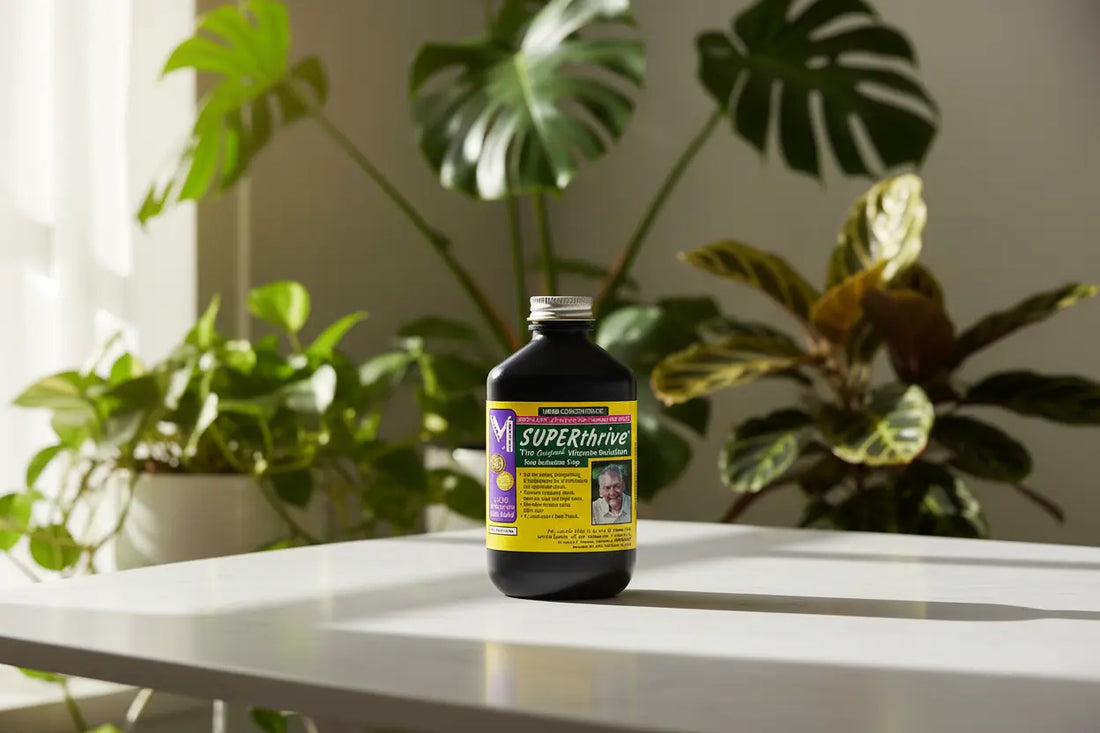 SUPERthrive: el aliado clásico para ayudar a tus plantas de interior a verse más sanas y fuertes