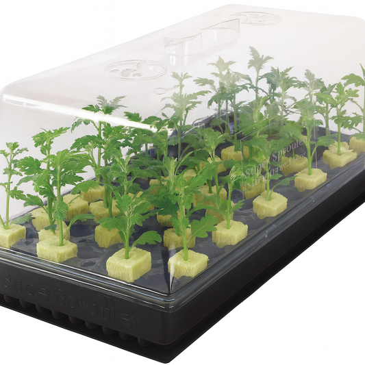 Bandeja Charola Domo de 7.5 pulgadas