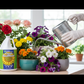 Jardinero con Liquid KoolBloom 1gal en jardín de flores