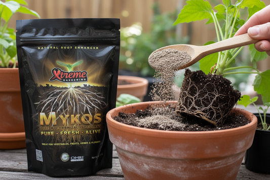 Mykos - Producto en Uso