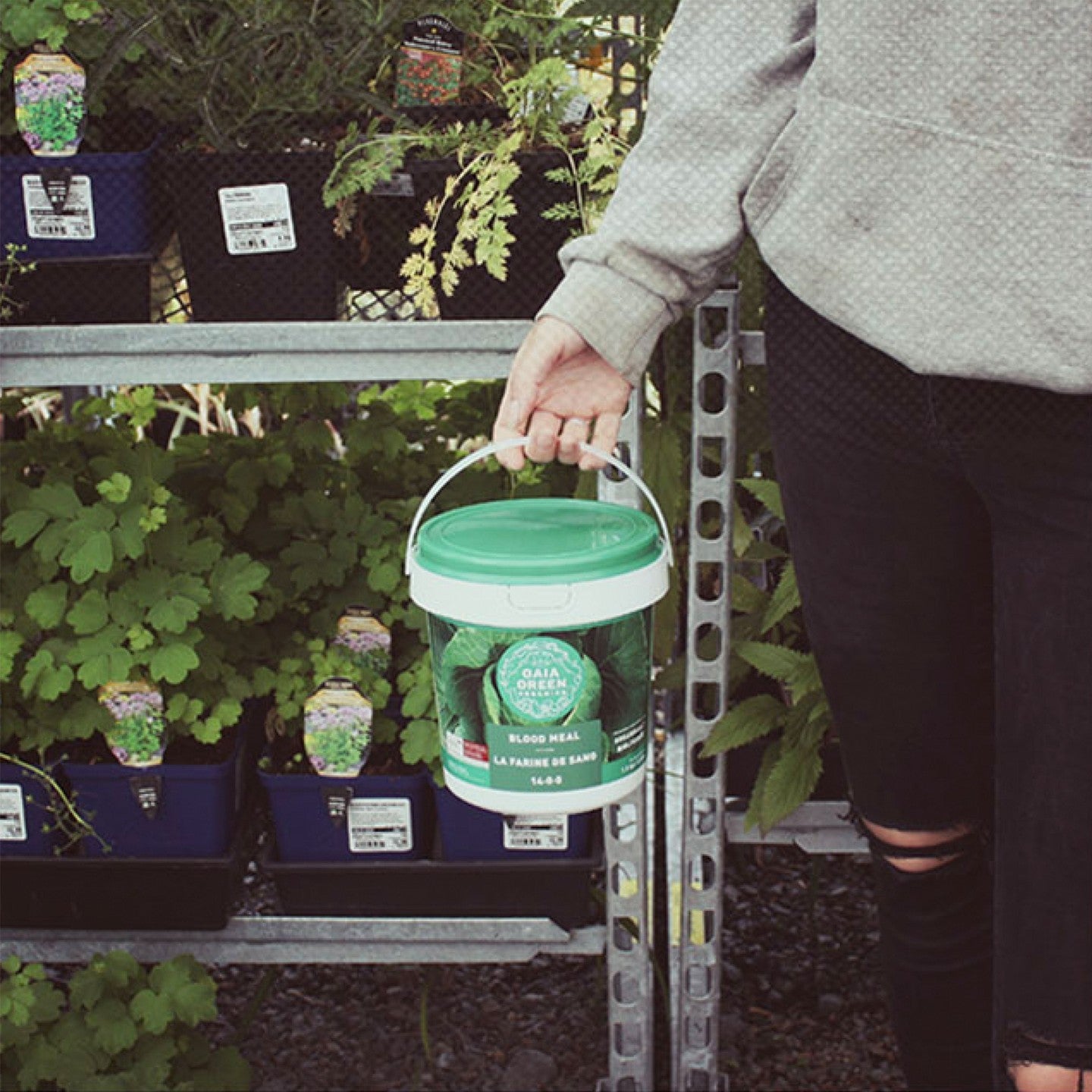 Gaia Green México Grow Shop Selva Fertilizante Abono Orgánico 