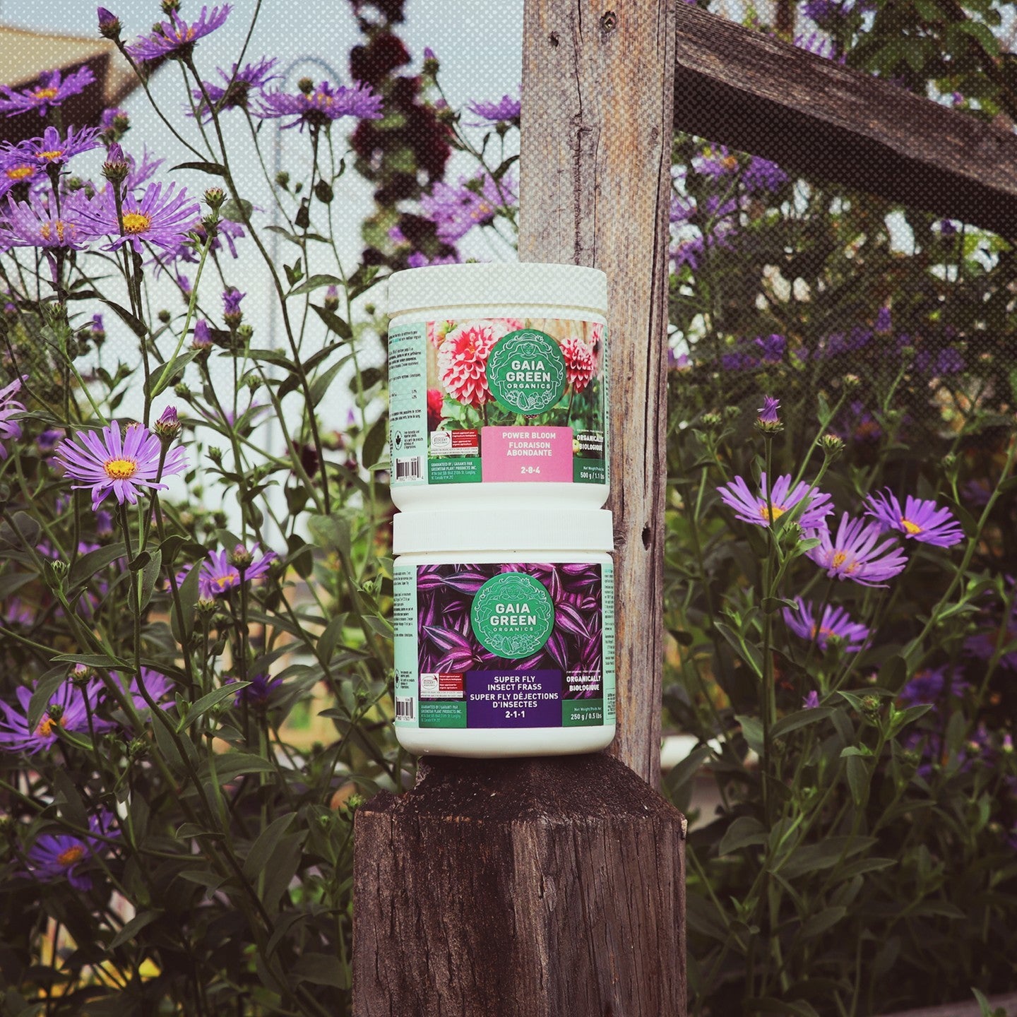Gaia Green México Grow Shop Selva Fertilizante Abono Orgánico 