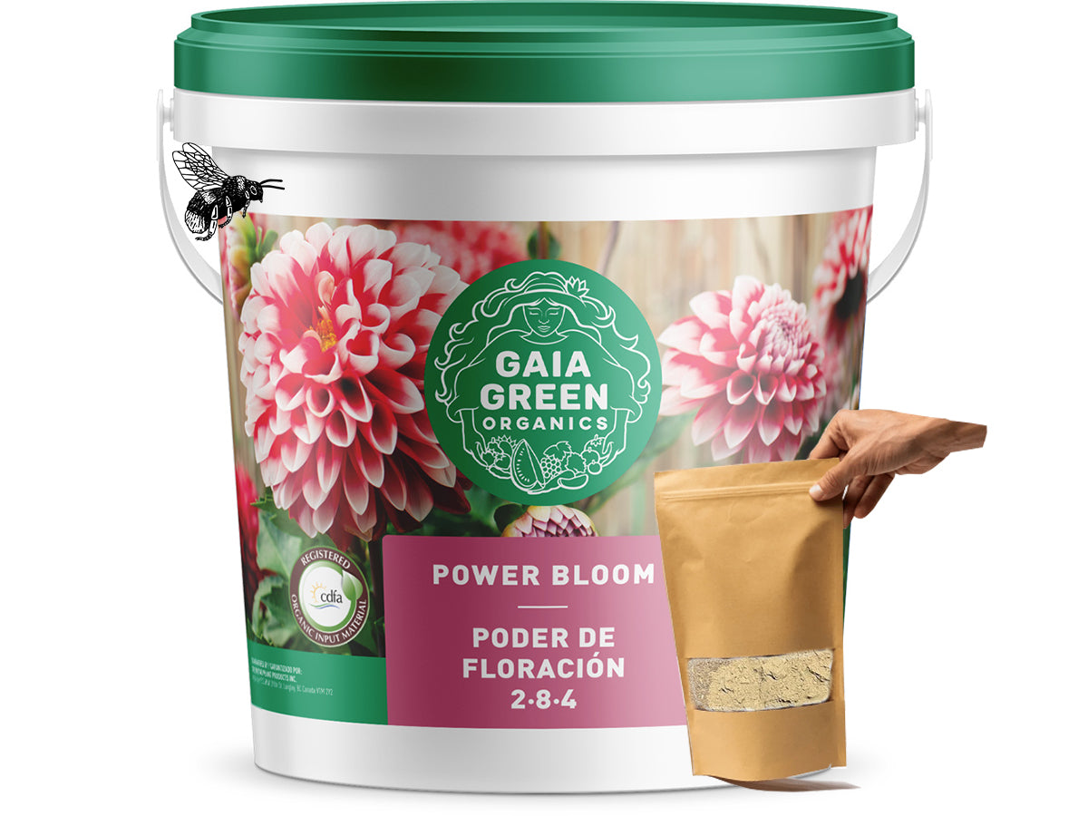 Gaia Green México Grow Shop Selva Fertilizante Abono Orgánico 