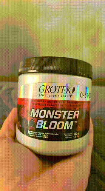 Monster Bloom Grotek – Estimulador de Floración | Shop Selva México Monster Bloom Grotek – Estimulador de Floración | Shop Selva México
