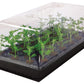 Domo semillero clones esquejes cannabis marihuana humedad México Shop Grow Selva